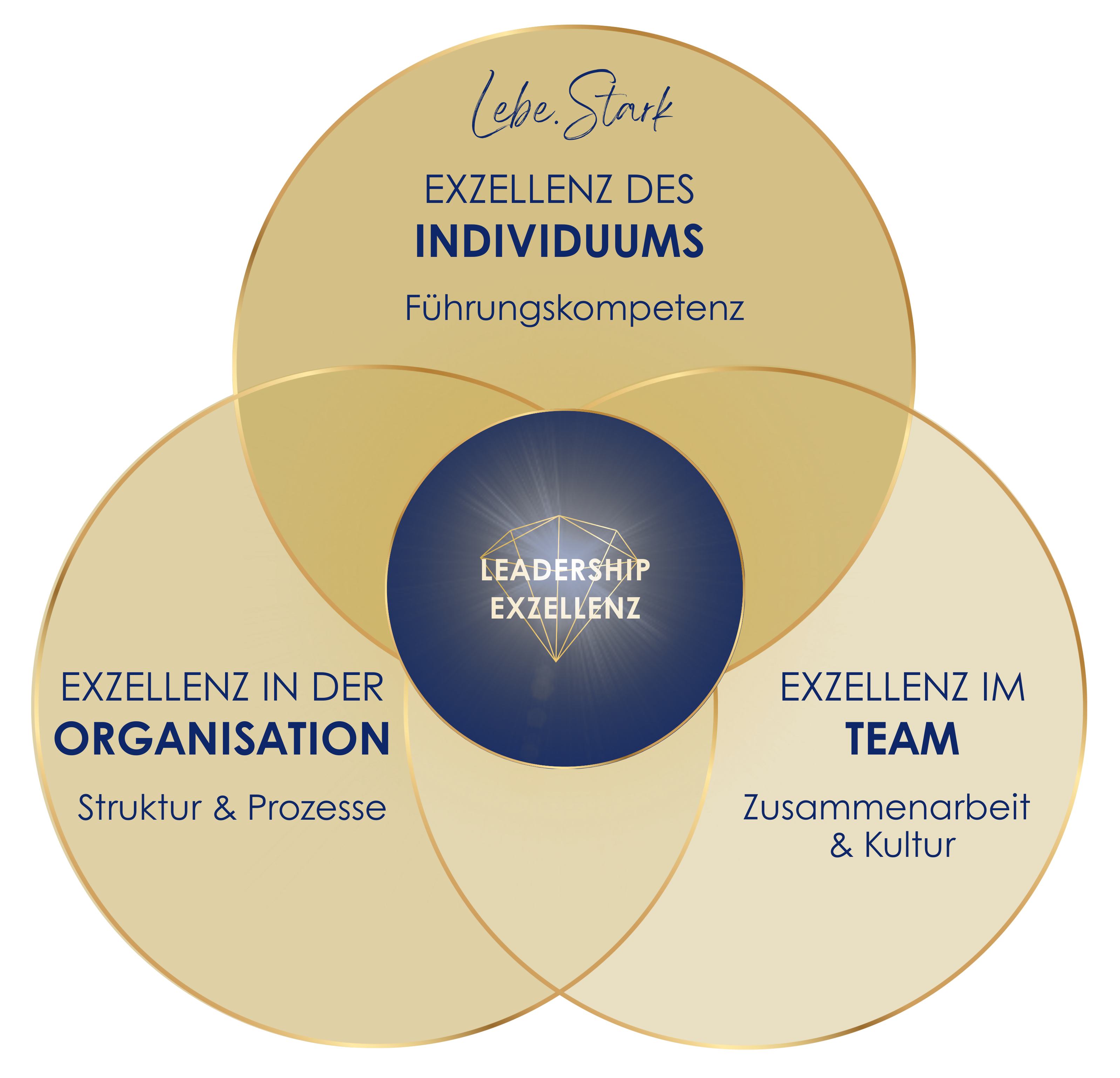 Darstellung des Leistungsspektrums: Exzellenz in der Organisation, im Team und des Individuums.